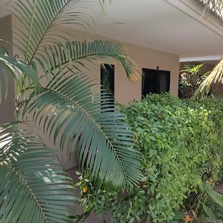 Tropical House​ Hotell